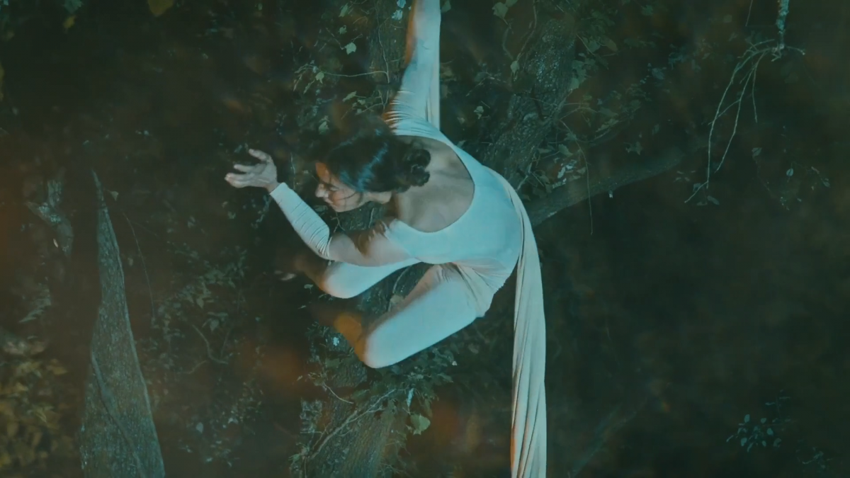 MUSCINEA by Chloe Belloc